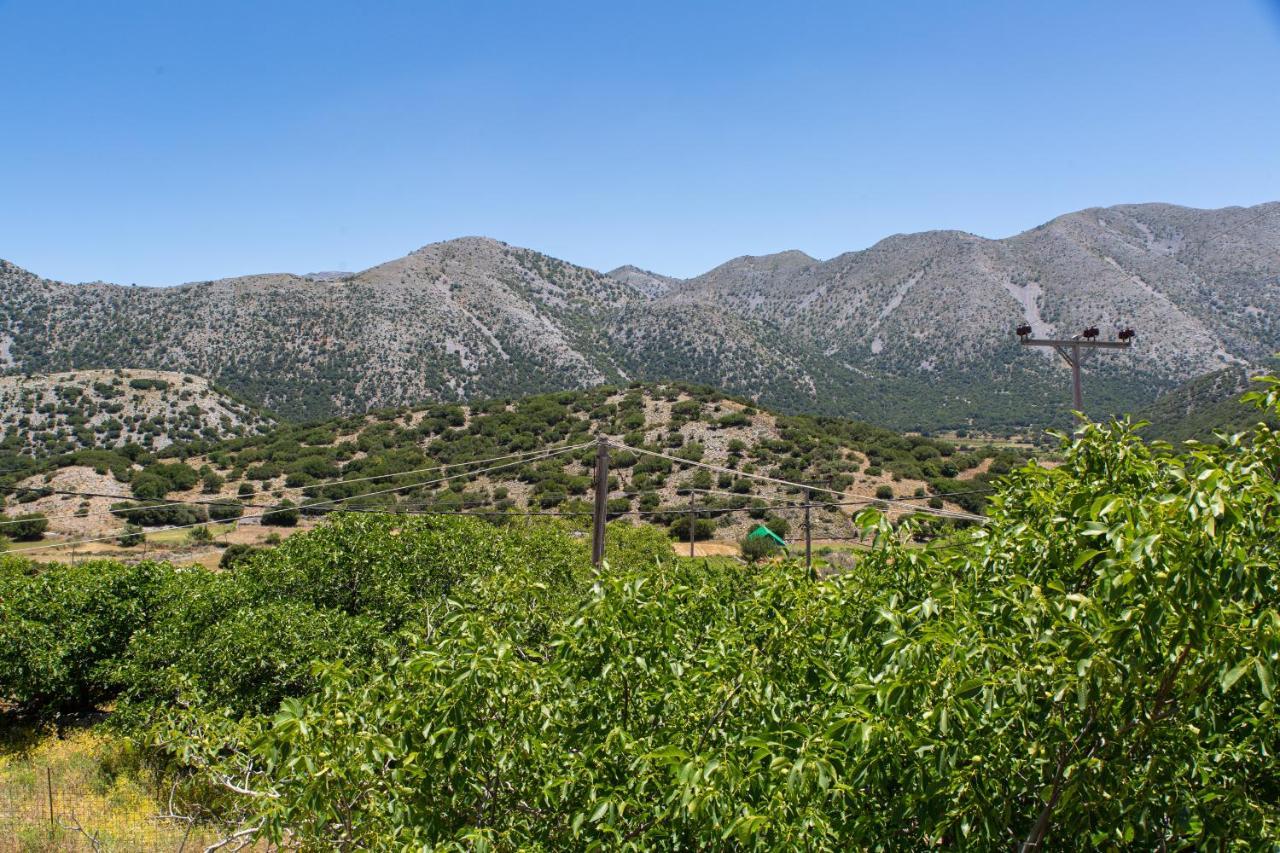 Villa Skyphos Ammoudari Экстерьер фото